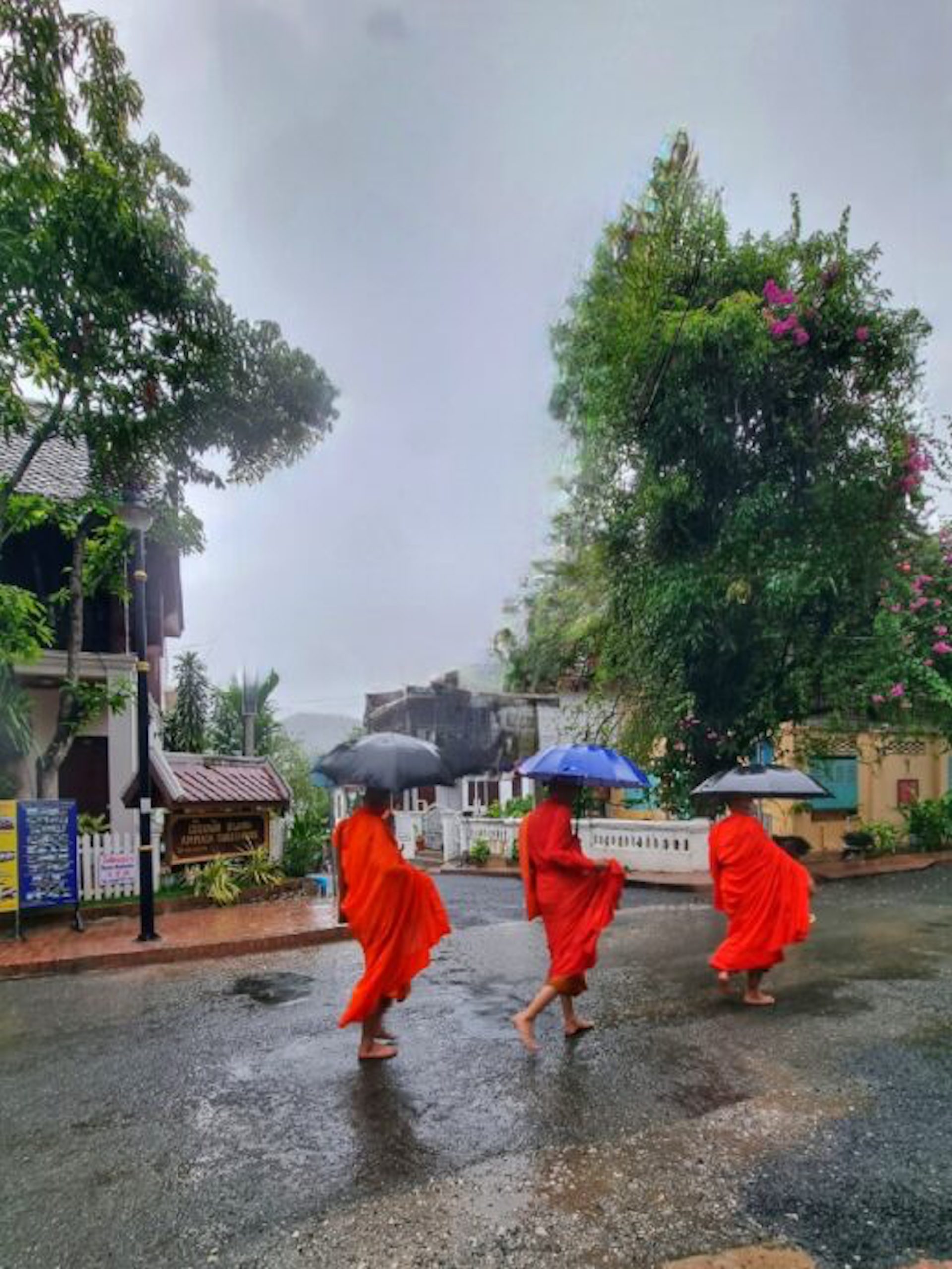 walking in the footsteps of monks in luang prabang